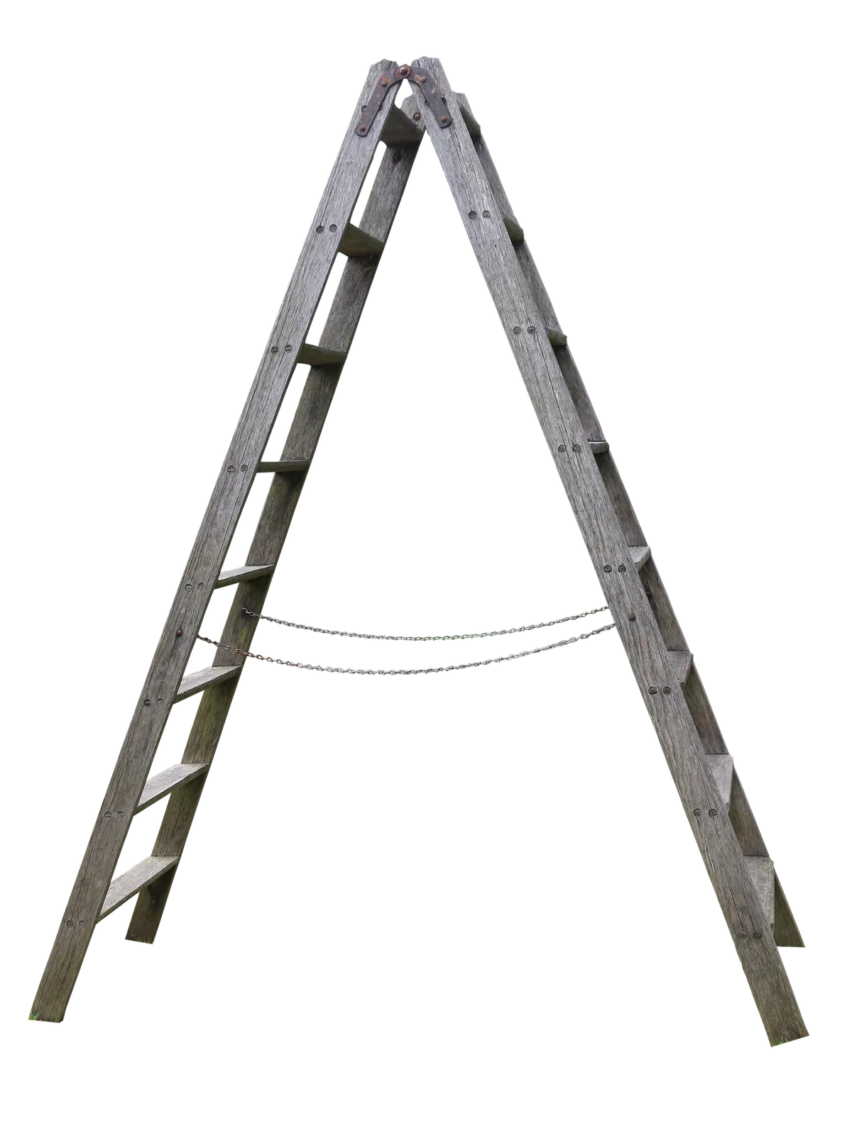 Aluminum Extension Ladder 5M photo 2